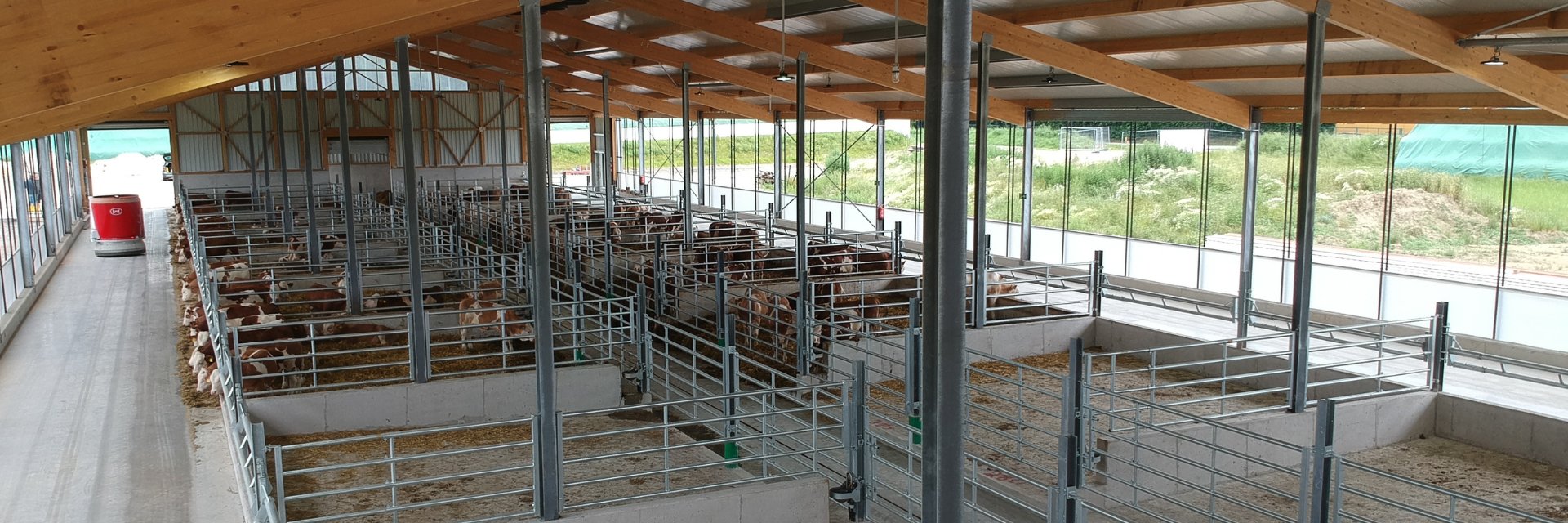 Stallkonzept